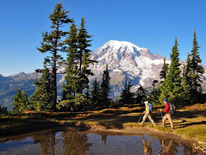 Best Hiking Trails in the US: Exploring Nature's Beauty
